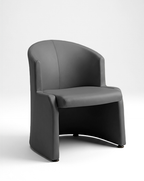 Sillón Roma (Sin Brazos)